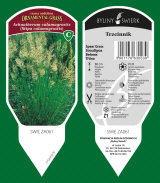 piante ornamentali: perenni, graminacee, erbe aromatiche, felci 34